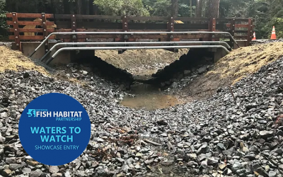 Manly Gulch Coho Access and Habitat Restoration Project