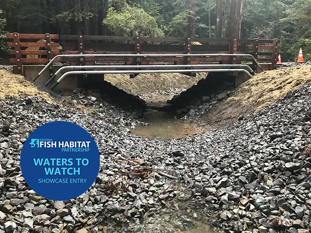 Manly Gulch Coho Access and Habitat Restoration Project