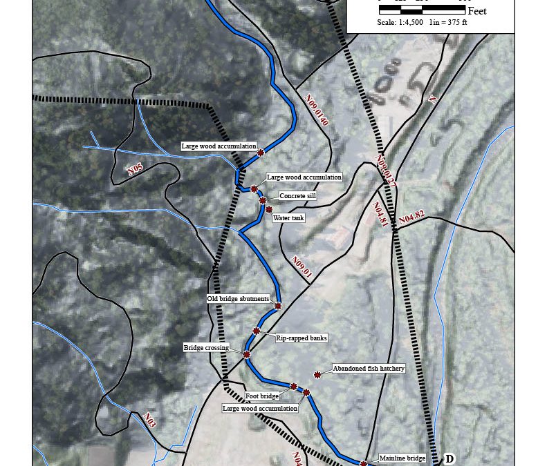 Cooper Mill Fish Passage Improvement Project Design