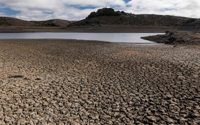 Small Dam Removal Effectiveness Monitoring for Steelhead in Southern California Under Extended Drought Conditions