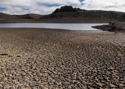 Small Dam Removal Effectiveness Monitoring for Steelhead in Southern California Under Extended Drought Conditions