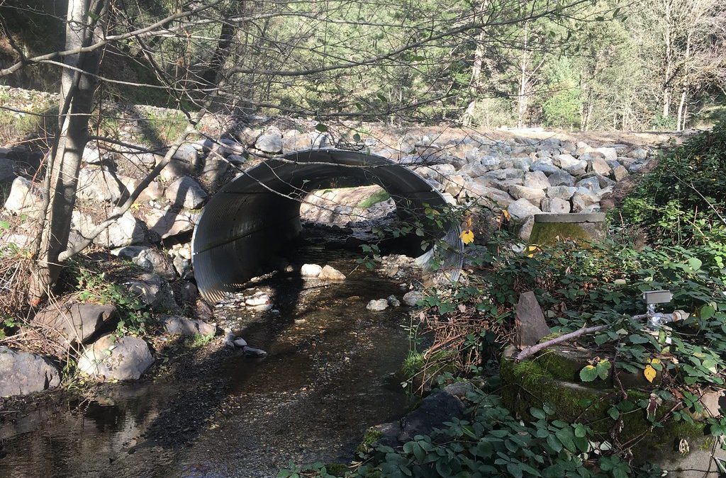 Sharber-Peckham Fish Passage Project