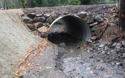 Dinner Creek Fish Migration Barrier Removal Project