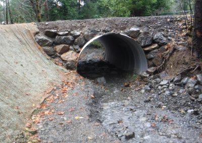 Dinner Creek Fish Migration Barrier Removal Project