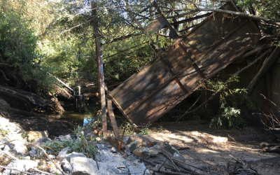 Iron Horse Vineyards Dam Removal Project