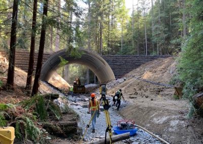 Upper Noyo River – Skunk Train