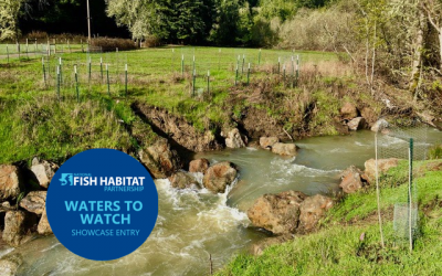 Upper Green Valley Creek Fish Passage Project