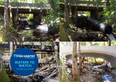 Conner Creek Fish Passage Improvement Project