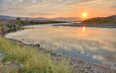 California Department of Fish and Wildlife’s Office of Spill Prevention and Response funding to enhance, restore, or acquire habitat for wildlife- Applications due September 30th!