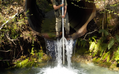 Little Case Fish Passage Project