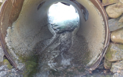 NOAA Fisheries Releases Results of Fish Passage Program 2018 Review