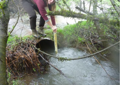 Lower Stotenburg Creek Fish Passage Project