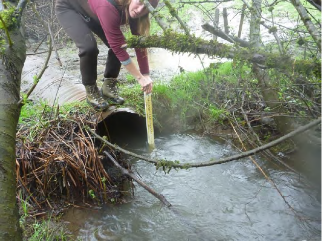 Lower Stotenburg Creek Fish Passage Project