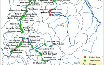 Mid Klamath Creek Mouth Enhancement Project