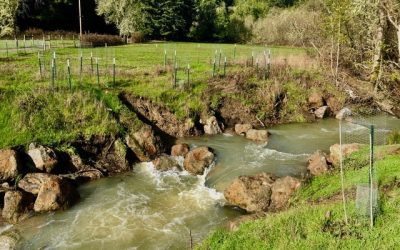 Upper Green Valley Creek Selected as one of NFHP’s 2019 “10 Waters to Watch”