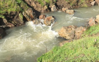 U.S. Fish and Wildlife Service and Partners Announce More than $27.4 Million for Fish Habitat Conservation in 2024