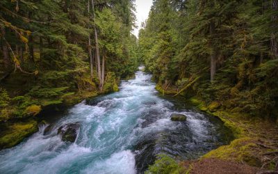 2024 Klamath Basin Salmon Restoration Request for Proposals (RFP) Open Now