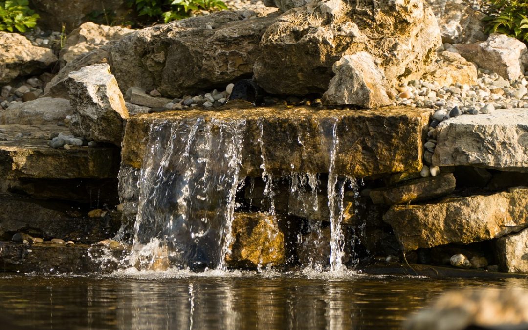 2024 CDFW Fisheries Restoration Grant Program -Concept Proposal Phase Now Open!