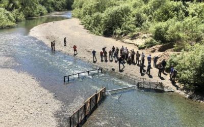 2024 SRF SRF 41st Annual Conference, Santa Rosa, California, March 26 – 29, 2024