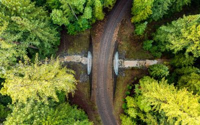 California Fish Passage Form Announces 2024 Funded Projects