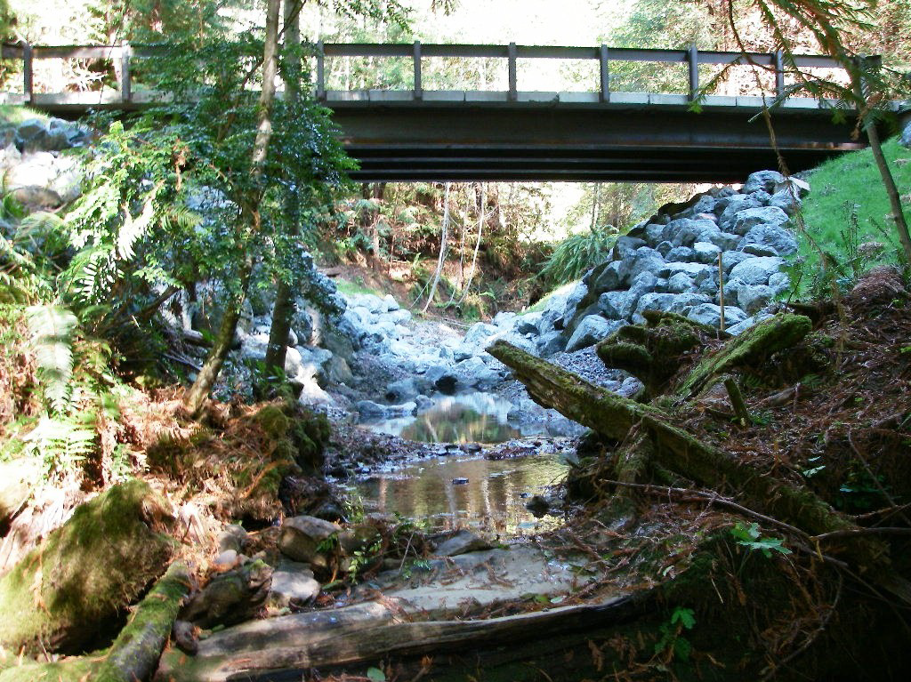 Dunn Creek-1