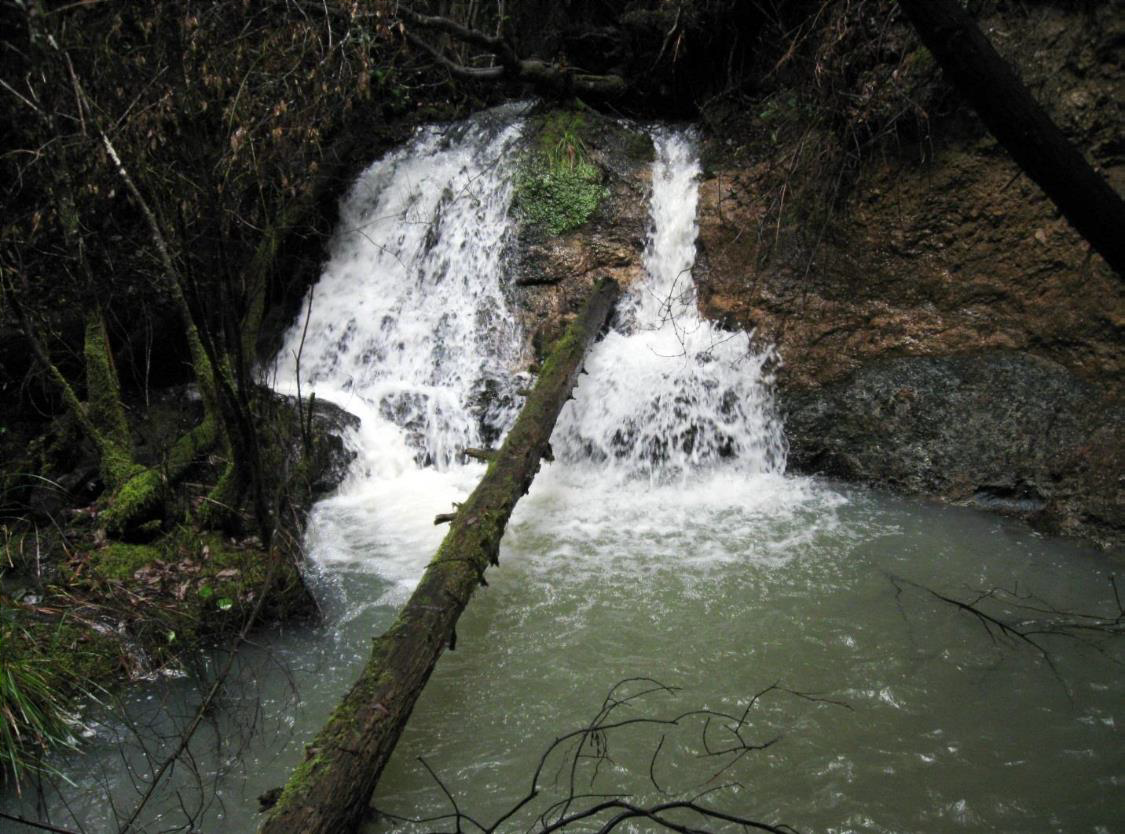 Glennbrook Gulch-1