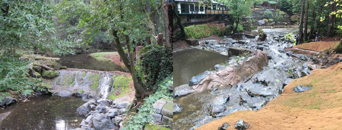 Mill Creek-7