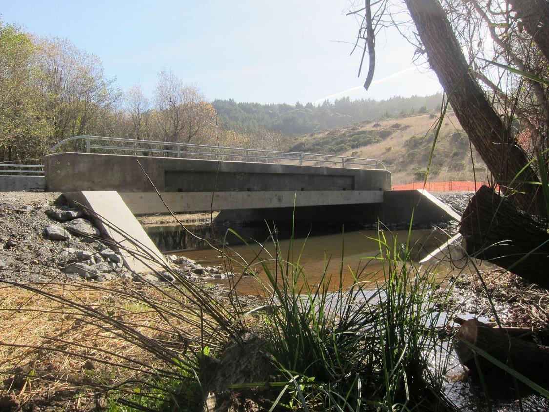 Willow Creek-1