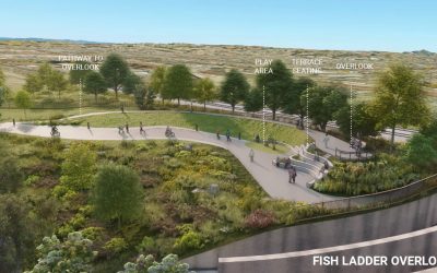 Wildcat Creek Fish Passage & Community Engagment Project (Phase 3)