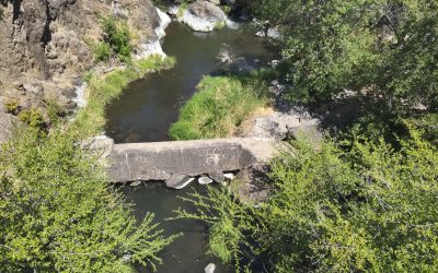 Jenny Creek Man-made Barrier Removal