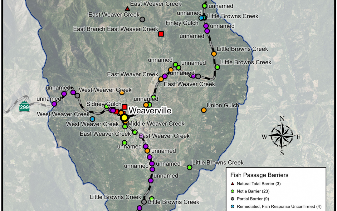 Weaver Basin Fish Passage Assessments