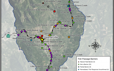 Weaver Basin Fish Passage Assessments
