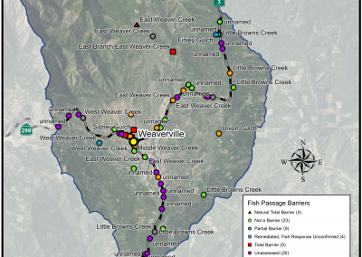 Weaver Basin Fish Passage Assessments
