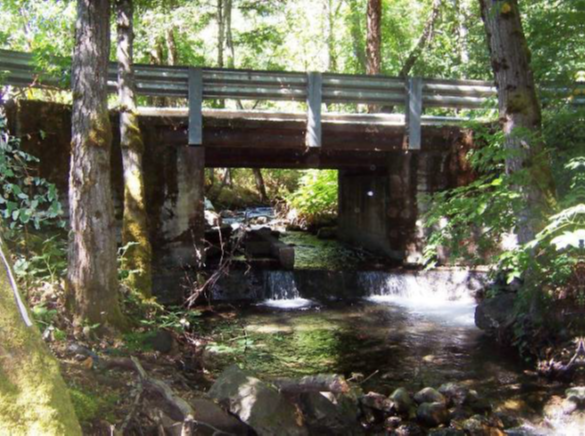 View of the concrete box culvert over Connor Creek, showing the fish passage barrier drop before restoration