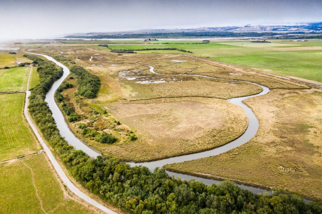 Arial view of the channel of Salt Creek Estuary, with riparian vegetation on either side of the creeks and side channels