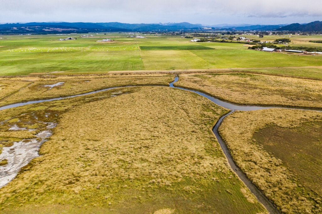 Arial view of the channel of Salt Creek Estuary, with riparian vegetation on either side of the creeks and side channels