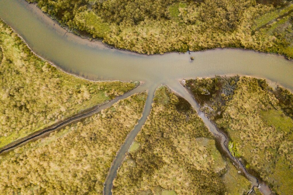 Arial view of the channel of Salt Creek Estuary, with riparian vegetation on either side of the creeks and side channels