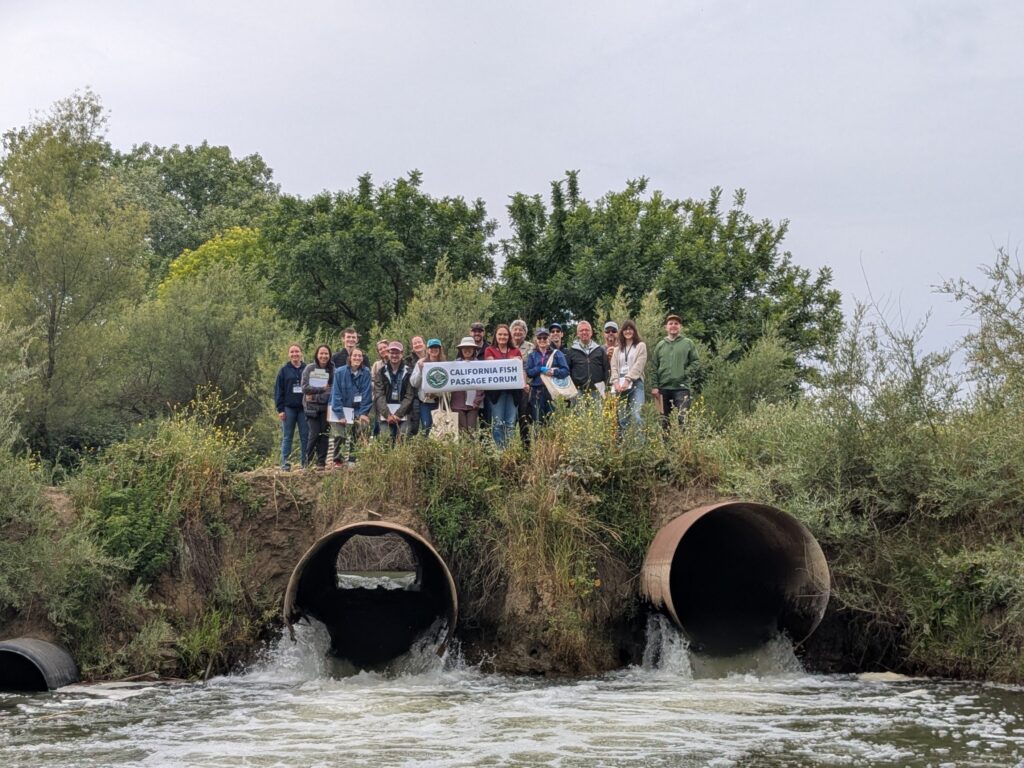 A group of people gather above two large perched culverts to take a group photo