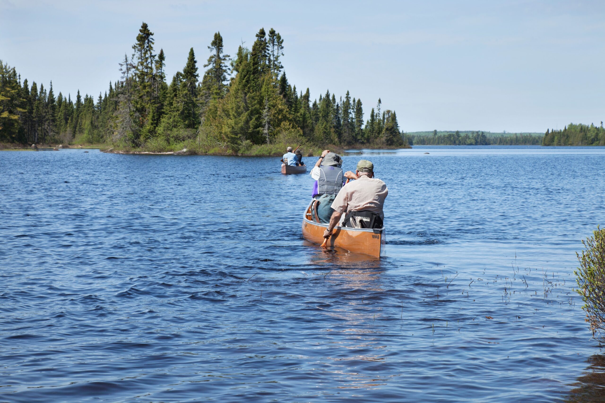 A few groups of people canoe along the waters of a lake with a forested lakeshore up ahead, part of the boundary waters canoe area