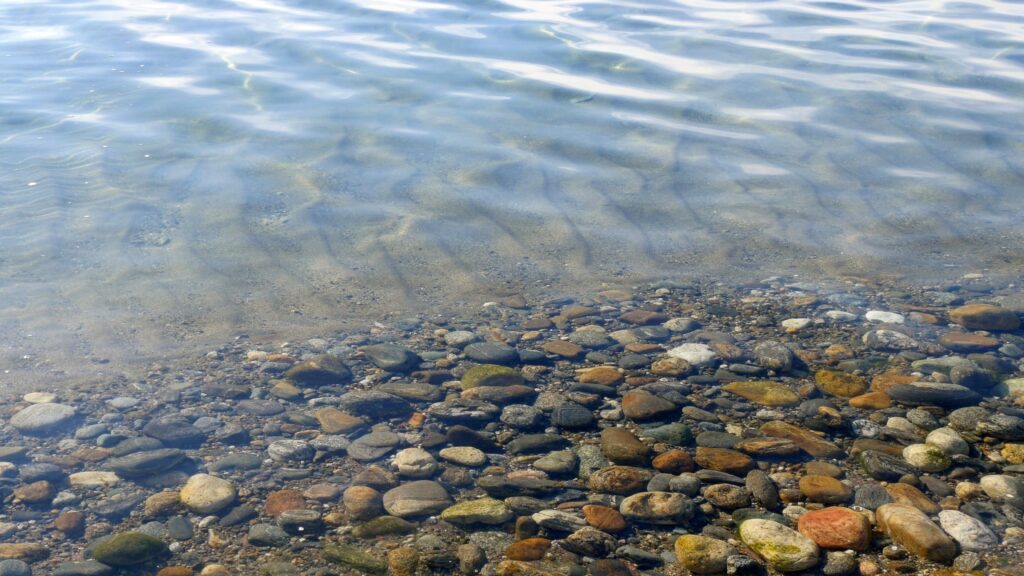 A decorative image showing clear water with pebbles under the surface