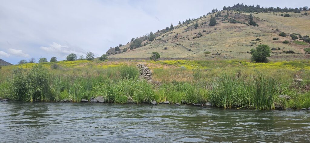 A few of a riverbank with a green valley extending into a hillside