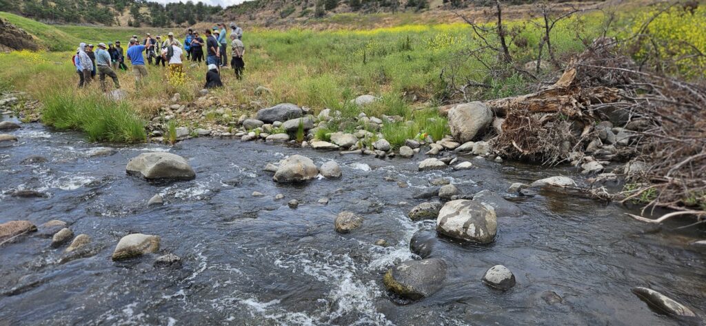 A group of people gather beside a flowing Creek, the water is clear and flowing around boulders