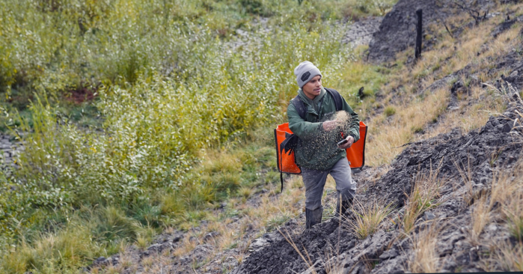 A Yurok tribal seed crew member walks with baskets of native seeds, spreading them on the ground as he walks