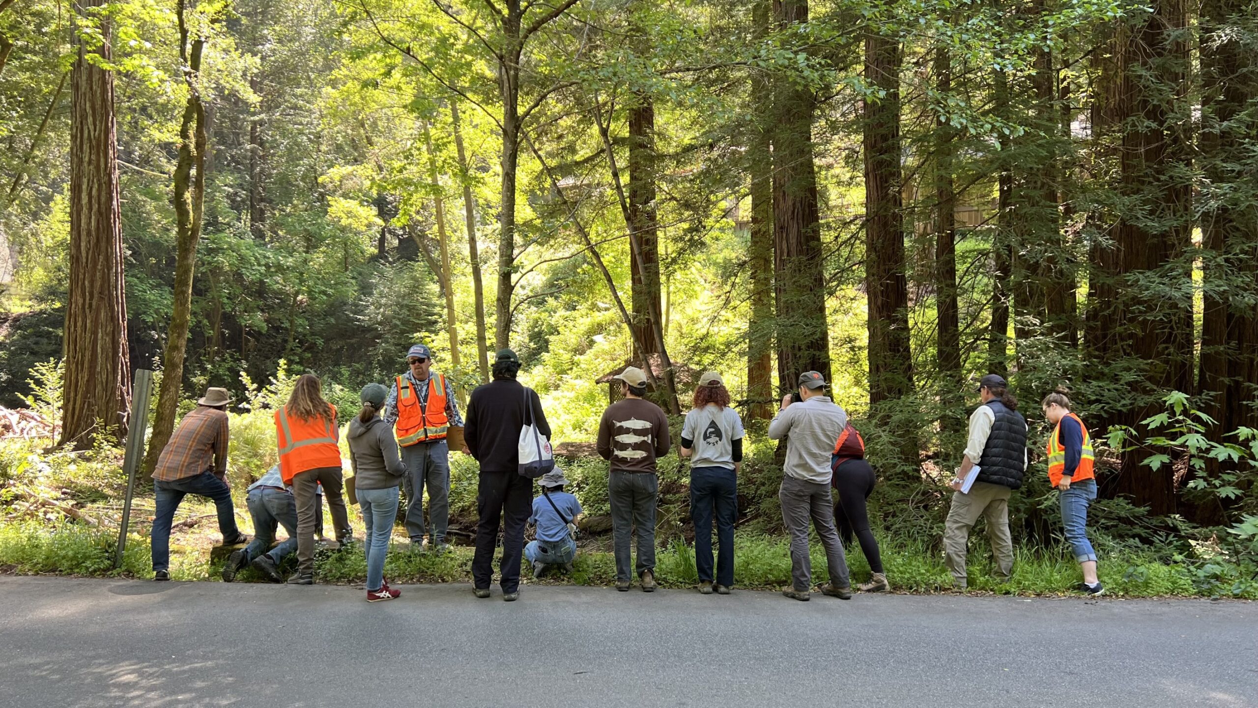 A group of people lying up to learn about fish passage assessment at a workshopA group of people lying up to learn about fish passage assessment at a workshop.
